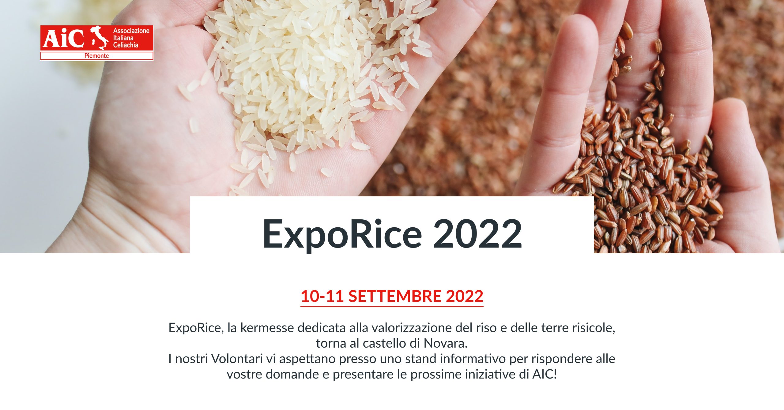 exporice 2022