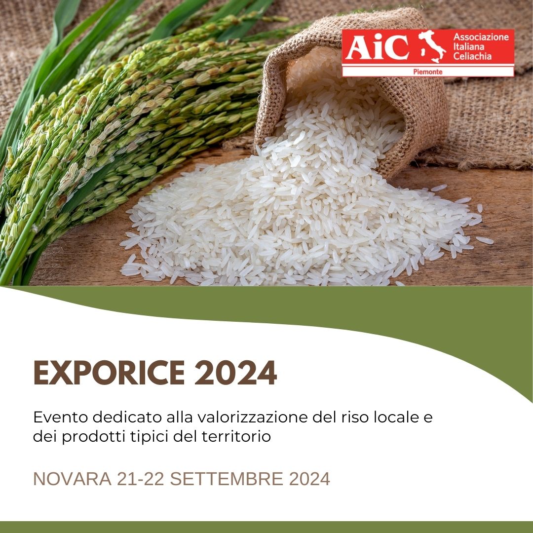 2024 EXPORICE