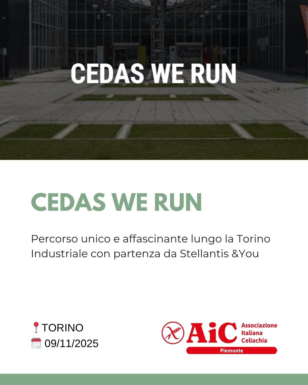 CEDAS WE RUN 9 11 25